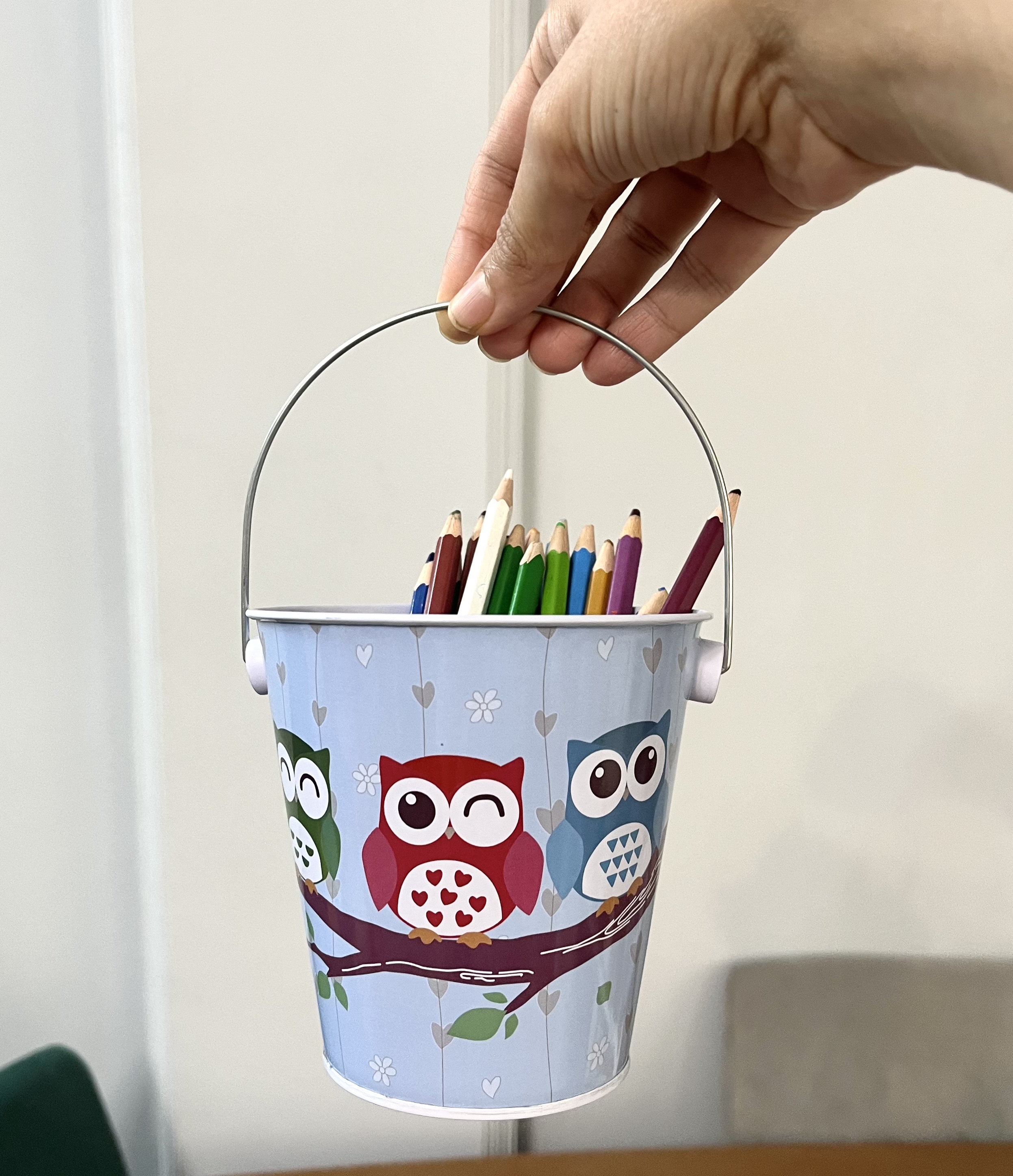 سطل فلزی جامدادی جغد آبی